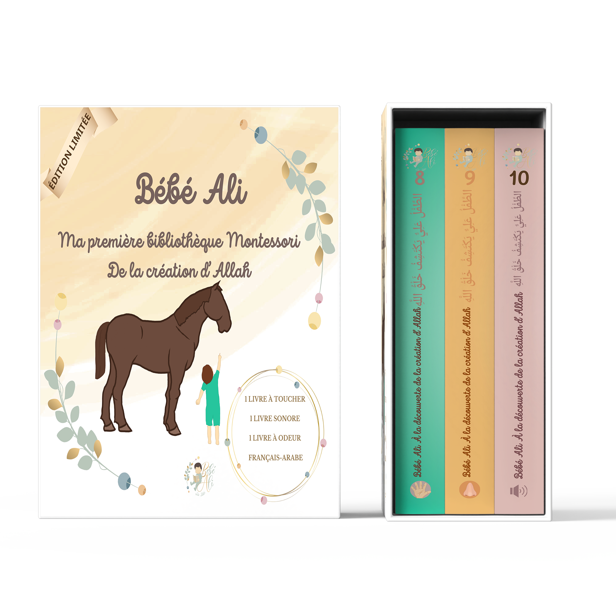 Coffret Création ✨